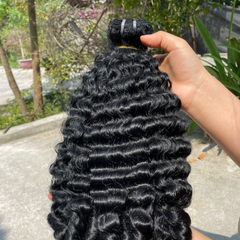 “Burmese Curly “Pre Order